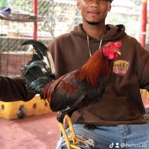 Meet your Posher, Traba kylie